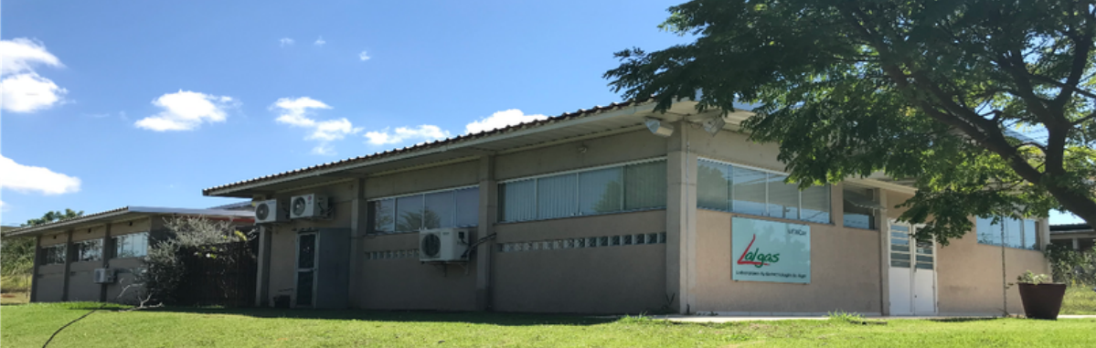 Boletim UMMA 28 - DB - Departamento de Botânica