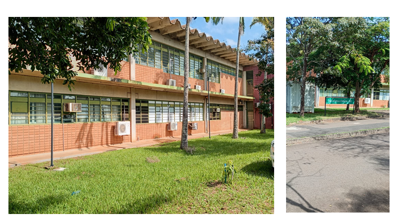 Boletim UMMA 29 - Departamento de Genética e Evolução(DGE)