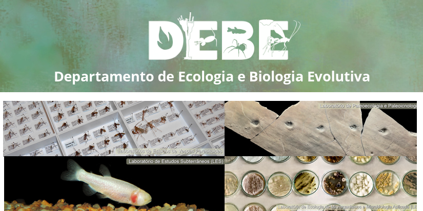 Boletim UMMA 30 - Departamento de Ecologia e Biologia Evolutiva (DEBE)