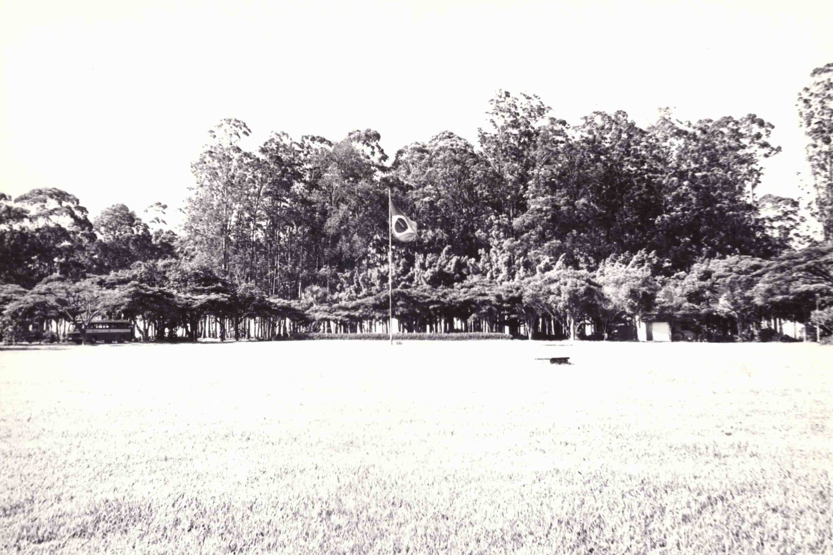 Gramado a entrada da universidade