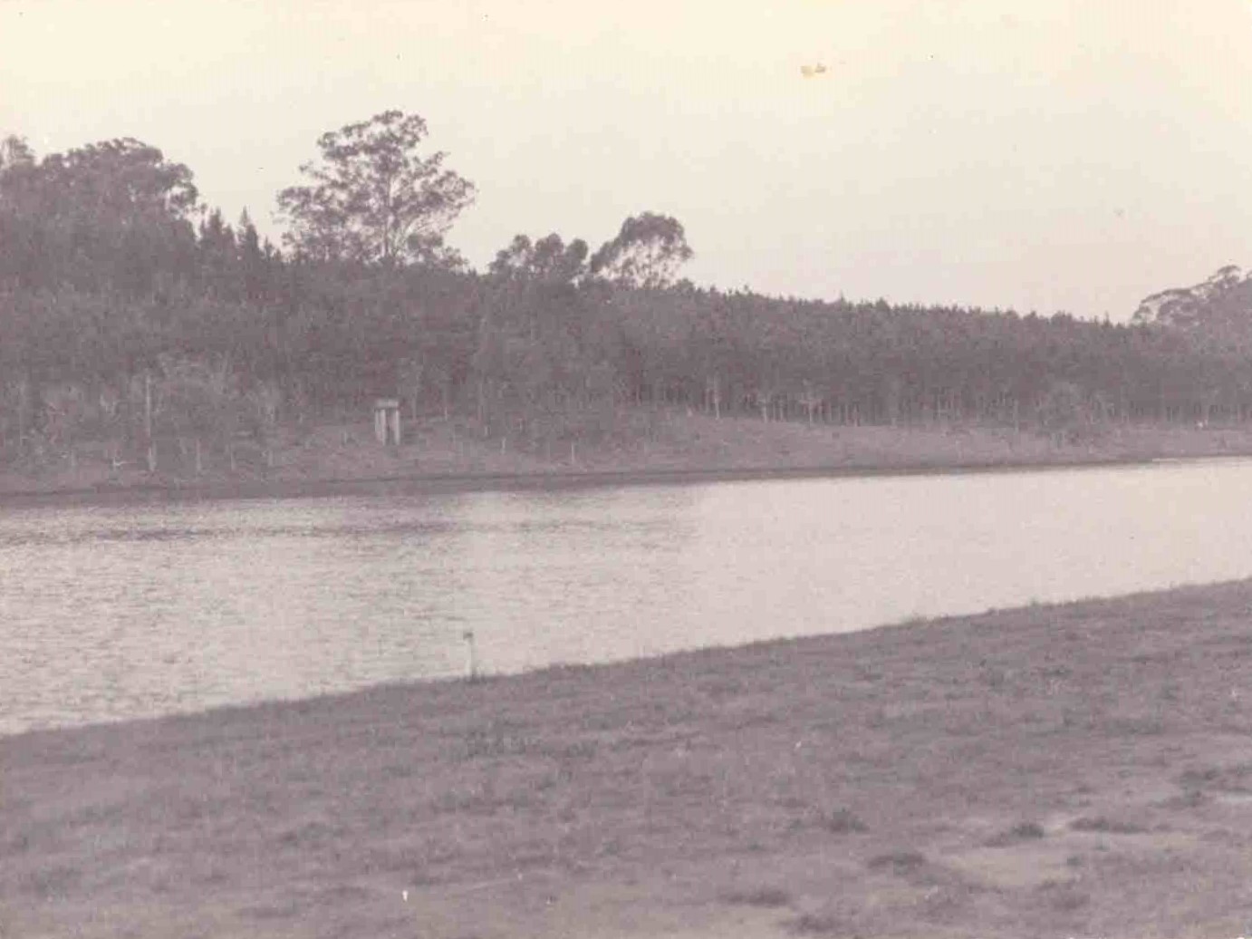 Lago UFSCar