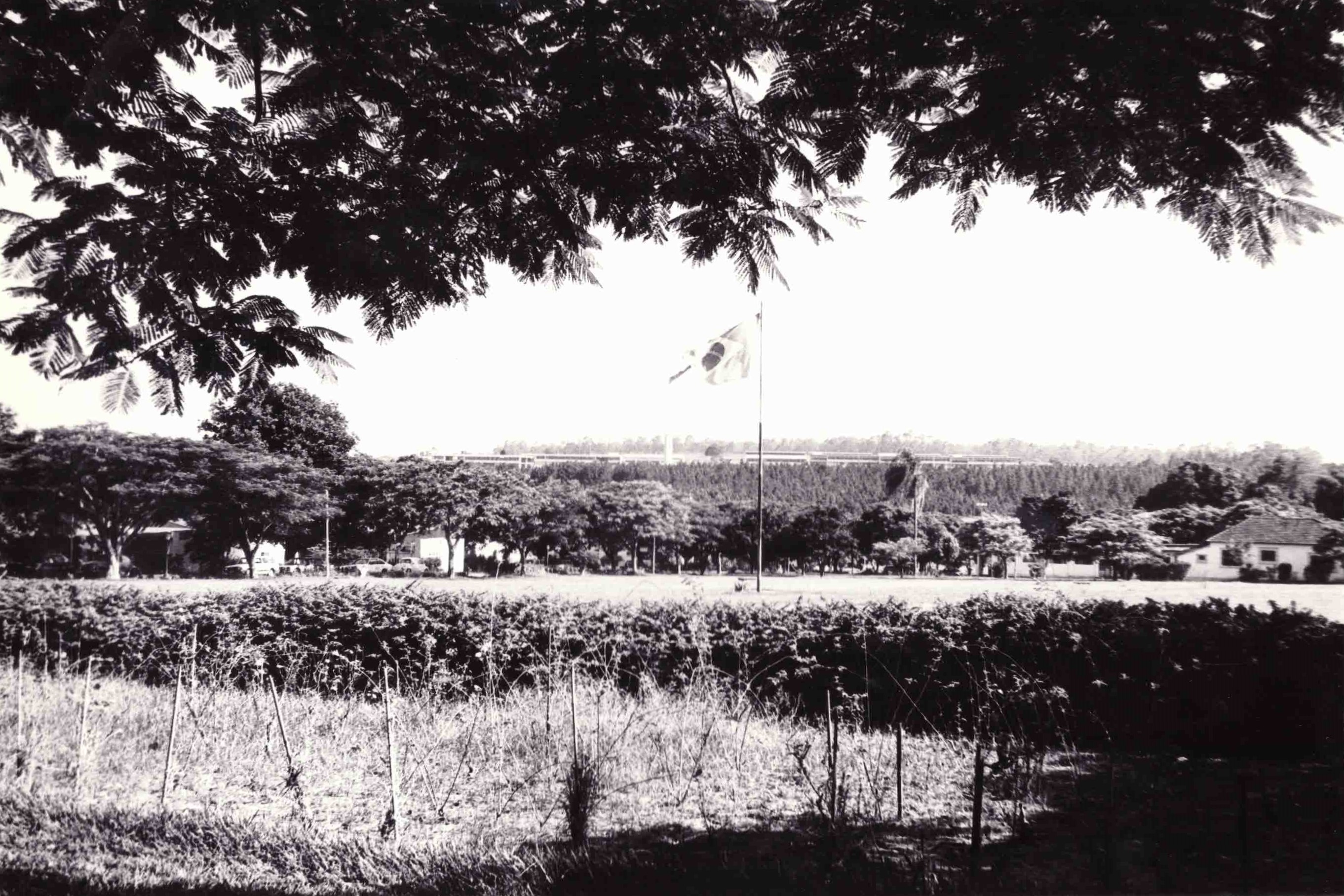 Vista do ponto de ônibus mostrando a área norte (acima dos pinheiros), gramado e banco do brasil
